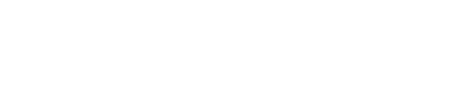 Haarvisie